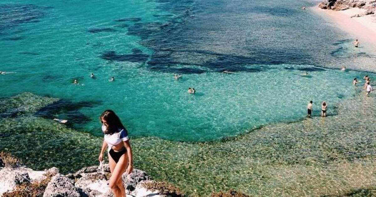 discover-rottnest-island-ferry-and-bus-tour-from-perth-or-fremantle-klook